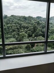 The Lanai (D23), Condominium #593622921
